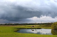 Debesų ganyklos